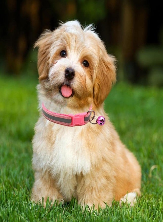 Weimostar Hot Pink XXS Dog Collar with Bell Leash Set, Soft Reflective Cat Collars Adjustable Buckle for XS Extra Small Tiny Female Girls Pets Puppy Kitten Teacup Yorkie X-Small - Image 2